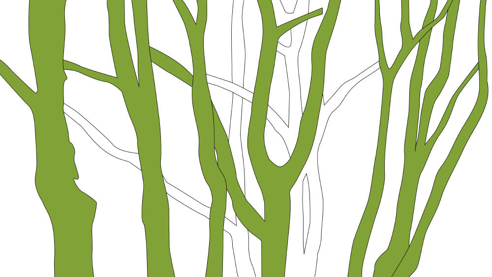 Iratiko oihana bisitatzeko aholku eta gomendioak