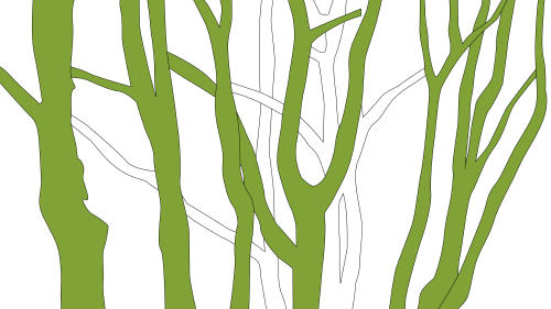 Iratiko oihana bisitatzeko aholku eta gomendioak Iratiko oihana bisitatzeko aholku eta gomendioak