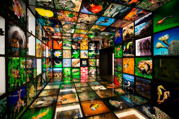 Ekoetxea Urdaibai Ekoetxea Urdaibai