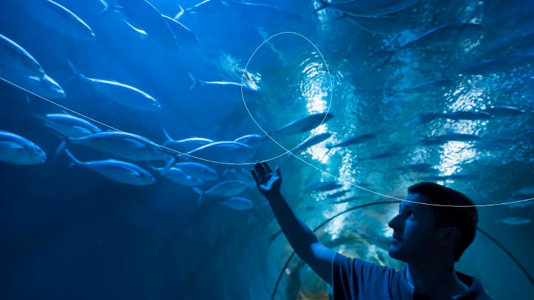 Blog Acuario Blog Acuario