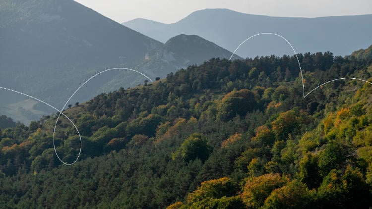 Escalada Valdegovía Escalada Valdegovía