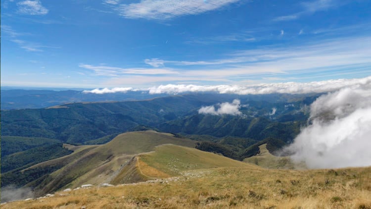 Monte Ohry https://www.google.com/maps/@42.9933101, 1.0103499,3a,75y,252.17h,88.51t/data=!3m8!1e1!3m6!1sAF1QipMb509WELnnqggXn8558c7UVmtfQOsSuLwTeDGf!2e10!3e11!6shttps:%2F%2Flh5.googleusercontent.com%2Fp%2FAF1QipMb509WELnnqggXn8558c7UVmtfQOsSuLwTeDGf%3Dw203 h100 k no pi 0 ya113.81613 ro 0 fo100!7i10240!8i5120?entry=ttu