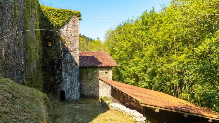 Bosques otoño Bosques otoño