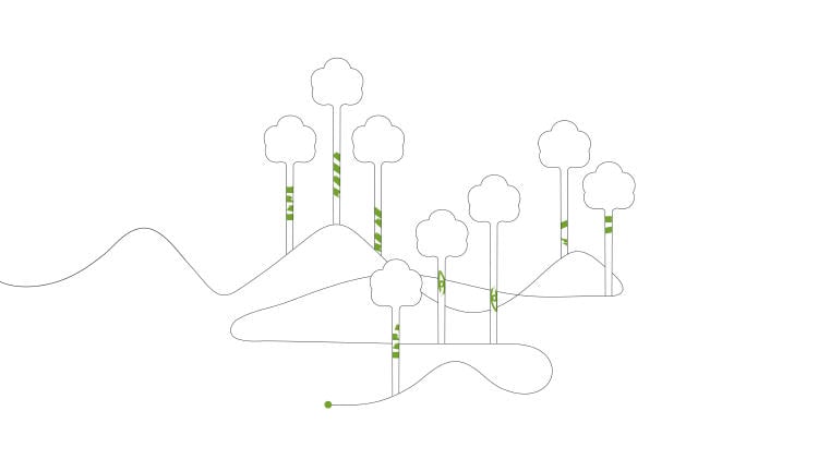 6._aplicacion_perretxiko_BOSQUE 6._aplicacion_perretxiko_BOSQUE