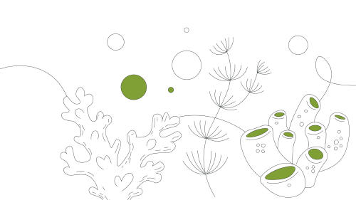 Biarrizko akuarioa: zer ikusi, nola iritsi, ordutegia eta prezioak Biarrizko akuarioa: zer ikusi, nola iritsi, ordutegia eta prezioak