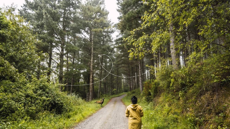 Mejores rutas senderismo Euskadi Mejores rutas senderismo Euskadi