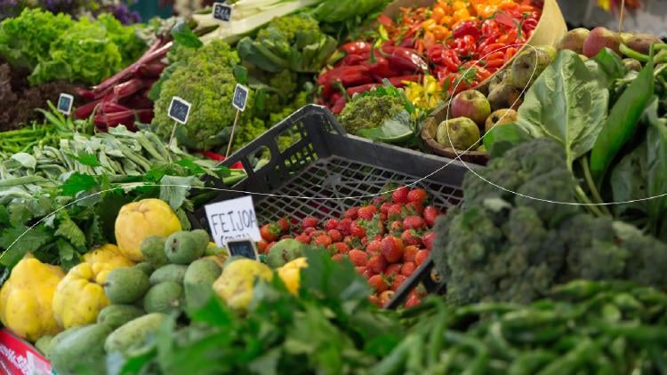 San Martín en Euskadi San Martín en Euskadi