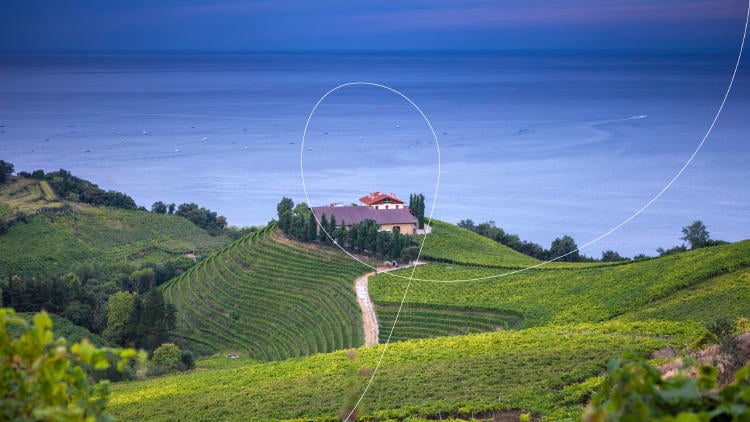 Enoturismo Euskadi Enoturismo Euskadi