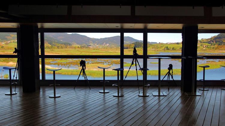 Urdaibai Bird Center Urdaibai Bird Center