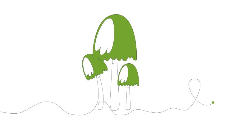 ilustracion-seta ilustracion-seta