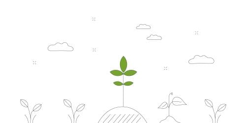 Otoño en Euskadi, aplicaciones para identificar plantas
