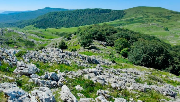 Monte Alborta David Migueliz | https://www.google.com/maps/contrib/115193511707930365639