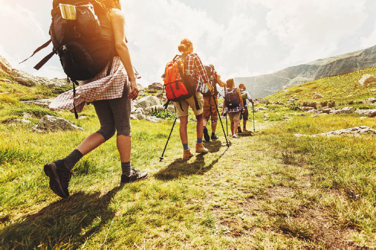 excursiones excursiones
