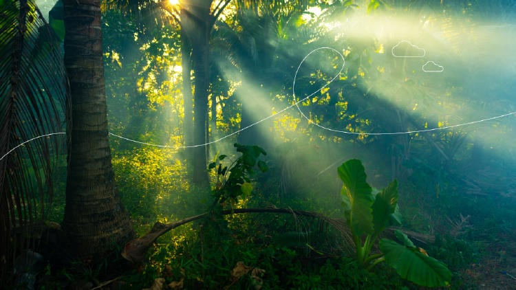 El Conquistador del Caribe El Conquistador del Caribe