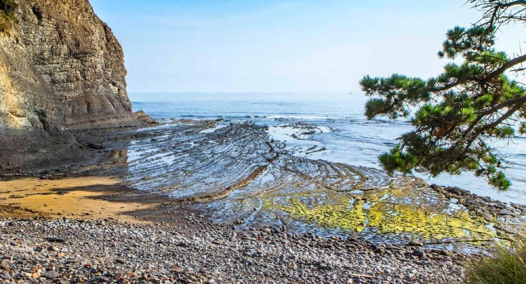 rasa intermareal de Ogella rasa intermareal de Ogella