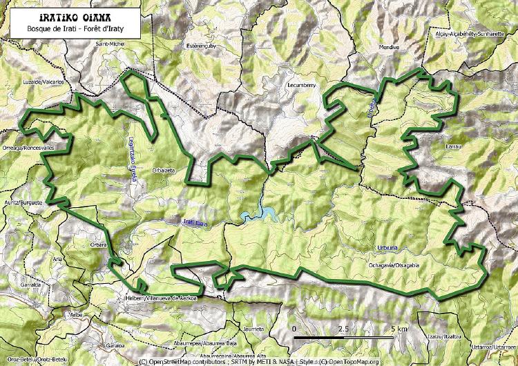 Dónde está la Selva de Irati Dónde está la Selva de Irati