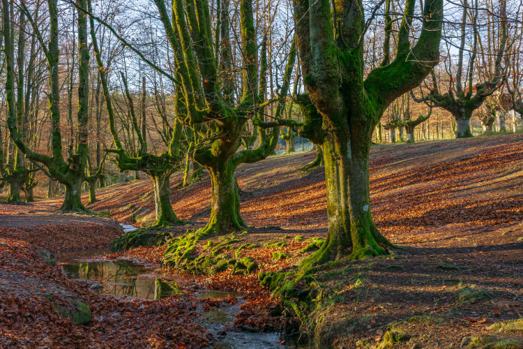 AdobeStock 625900019 AdobeStock 625900019