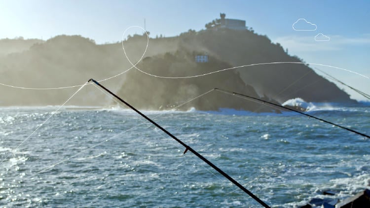 Licencia de pesca marítima Euskadi