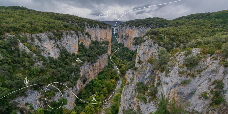 arbaiungo paisajea, arroila Ezagutu Nafarroako ikuspegirik ederrenak arbaiungo paisajea, arroila Ezagutu Nafarroako ikuspegirik ederrenak