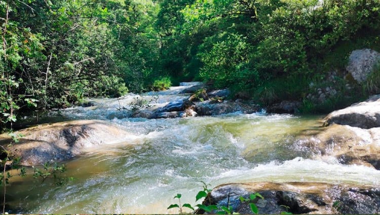 Nacedero Irañeta Nacedero Irañeta | https://www.google.com/maps/contrib/100809235708777951570/photos/@42.9129868, 1.958889,13z/data=!3m1!4b1!4m3!8m2!3m1!1e1?entry=ttu