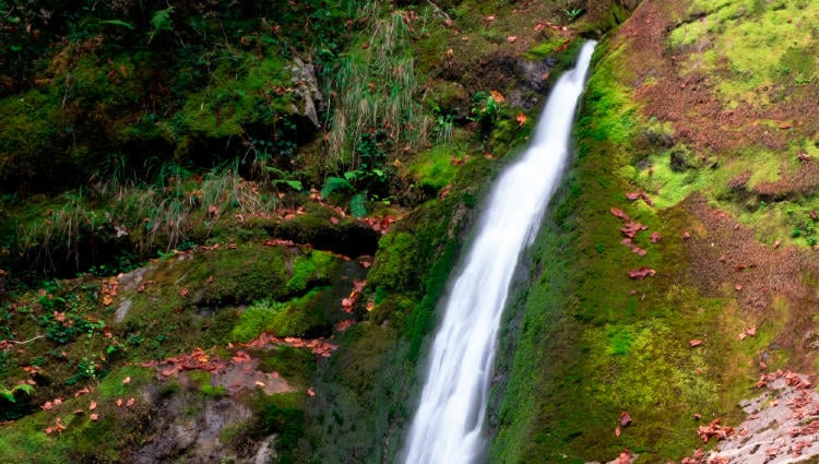 Cascada Osinberde Cascada Osinberde