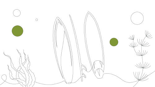 Euskadiko kostaldeko herririk ederrenak: Lekeitio, Zumaia eta beste hainbat Euskadiko kostaldeko herririk ederrenak: Lekeitio, Zumaia eta beste hainbat