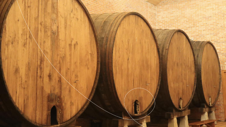 Mejores sagartotegis Mejores sagartotegis