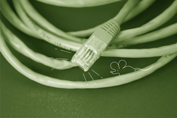 zuntz-optikoa zuntz-optiko-kablea